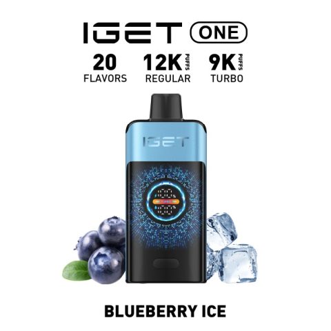 iGet One 12000 Puffs - Blueberry